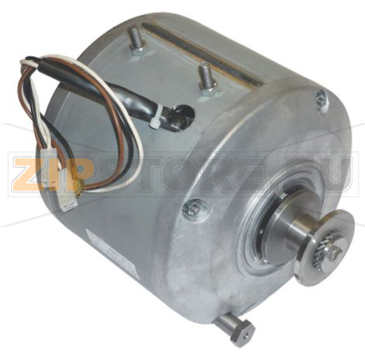 MOTORE COMPLETO 220V 50/60Hz 
