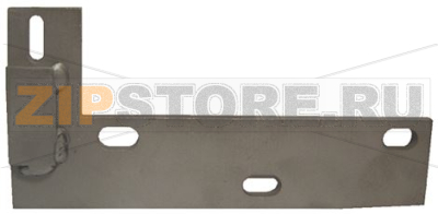 DOOR HINGE LOWER 
