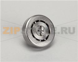 BRNG RLLR TRK-R116, EACH 