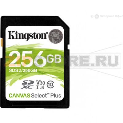 Карта памяти 256 Гб Kingston SDS2/256GB 