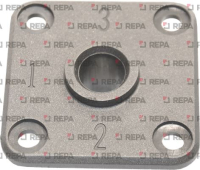 PLAQUE INDEX