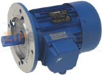 AGITATOR MOTOR CARPANELLI M80C4AM B5