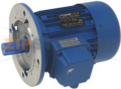 AGITATOR MOTOR CARPANELLI M80C4AM B5 