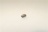 GRANO EIP COPPA 6 X 8 INOX UNI5929