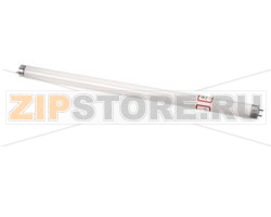 LAMP-15W,120V,18,FLUORESC,CTD 