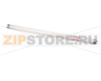 LAMP-15W,120V,18,FLUORESC,CTD