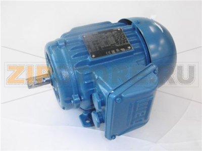 MOTORE WFEC 8-11 