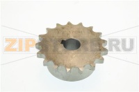 ЗВЕЗДОЧКА СПИРАЛЬНАЯ