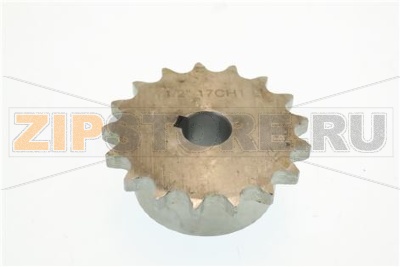 ЗВЕЗДОЧКА СПИРАЛЬНАЯ 