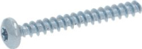 SCREW TCB TORX 3 5X30 PLAST.ZN-B