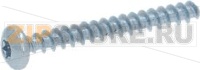 SCREW TCB TORX 3 5X30 PLAST.ZN-B