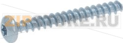 SCREW TCB TORX 3 5X30 PLAST.ZN-B 