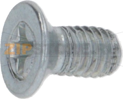 S/S SCREW M3x6 TSP TCR 6060.0092 