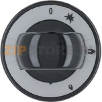 ЧЕРНАЯ РУЧКА ? 65 ММ