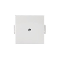 Накладка глухая, белая ABB 2TKA000856G1