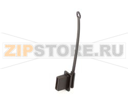 CAP, USB W/LANYARD 