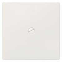 DELTA I-SYSTEM ТИТАНОВЫЙ МЕТАЛЛИК ВЫКЛЮЧАТЕЛЬ 1 КЛАВИША ФИКСИРОВАННАЯ ВИНТОМ С НУЛЕВЫМ ПРОВОДНИКОМ 55X55MM Siemens 5TG6261