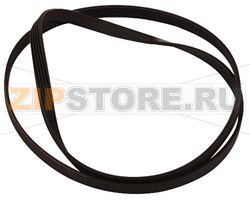 ELASTIC BELT 1205J5/1208J5 WHIRLPOOL C00 