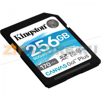 Карта памяти 256 Гб Kingston SDG3/256GB 