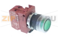 PULSANTE TONDO VERDE START CON SPIA