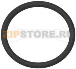 O-RING 