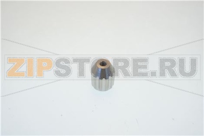 MANOPOLA PARAGRASSO   LNR Y11 