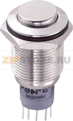 Кнопка антивандальная 250 В/AC, 3 А, 2 x вкл/вкл, с фиксацией, IP67, 1 шт TRU Components LAS2GQH-22Z/N/P 