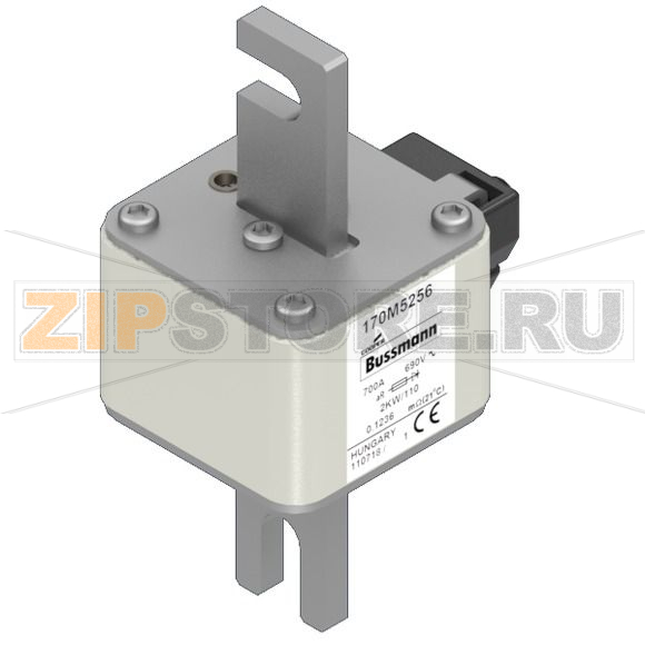 Предохранитель, 700 A, AC 690 В, 100 кА, size 2, 61x77x138 мм, aR, IEC Eaton FUSE 700A 690V 2KW 