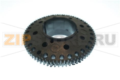 PORTA MACINA SUPERIORE 