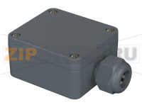 Корпус с литым PG 11, 58x64x34 мм Bopla PK 101-111
