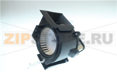 MOTORE RAFFRED PRO II DX 