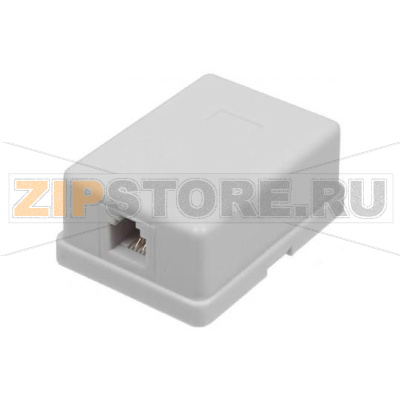 настенная информационная розетка RJ45 8P8C, категория 5Е, UTP (неэкранированная), 1-порт, белая 