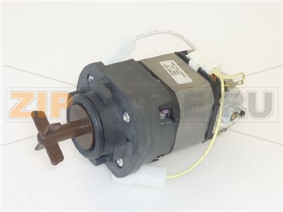 ASSIEME MOTORE MISCELATORE D60 120V 60Hz 