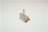 COMMUTATORE ROTATIVO INDESIT C00142020
