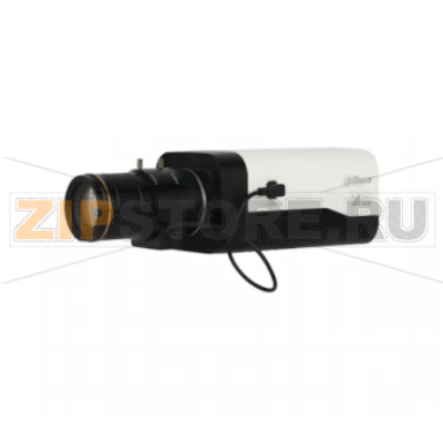 IP-камера Dahua DH-IPC-HF8231FP-S2 