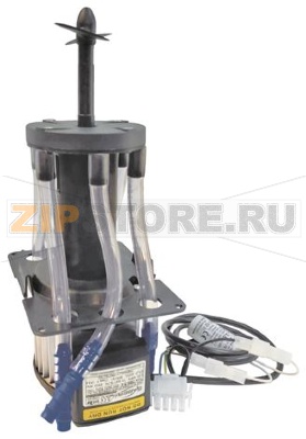 PUMP DSB05.6 230V 50Hz FOR AGITATOR 
