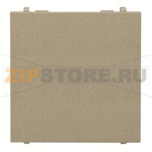 Заглушка двухмодульная, шампань ABB 2CLA220000N1901 