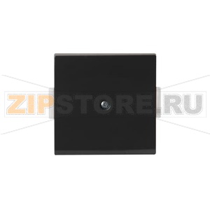 Накладка глухая, антрацитовая ABB 2TKA000852G1 