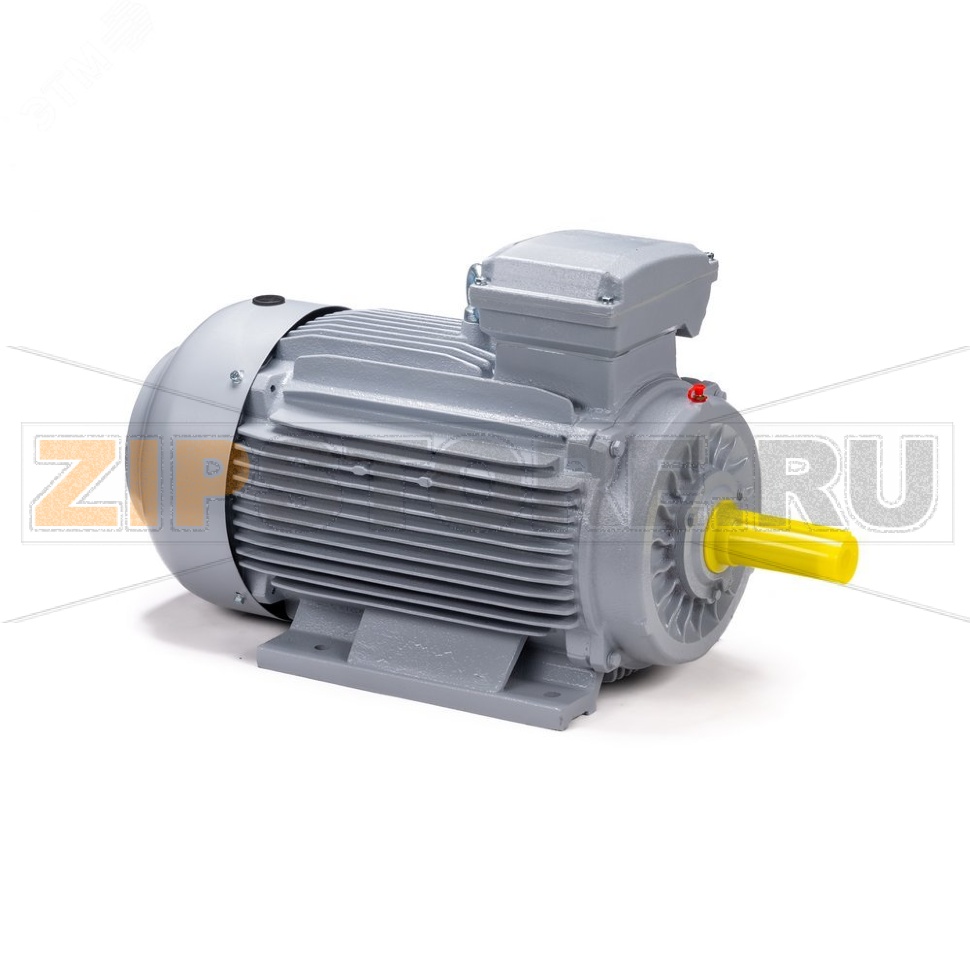 Электродвигатель 15 кВт, 380/660 В, 3000 об/мин, IP55 ESQ 01.05.02.000085 
