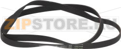 BELT HUTCHINSON 1243 H8 EL 