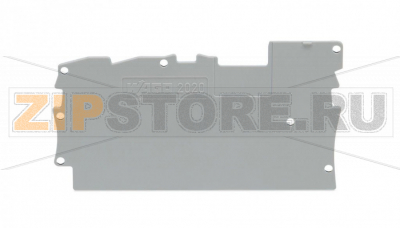 End and intermediate plate; gray Wago 2020-1391 