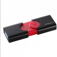 Накопитель USB 256 Гб Kingston DT106-256GB