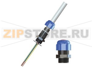 Кабельная муфта Cable Glands, Plastic CG.PIDS.M40.PA.C.10.K10 Pepperl+Fuchs Mechanical specificationsCable typenon-armored cablesClamping range (D)17 ... 28 mmSeal combination S121 ... 28 mmSeal combination S1+S217 ... 21 mmThread typemetric ISO pitch 1.5 mmThread size (TD)M40Degree of protectionIP66 / IP68MaterialEndcapsblueCable glandhigh impact-resistant polyamideWasher gasketflat chloroprene gasketSeal insertchloropreneMass45 gDimensionsWidth across corners (D2)52 mmDiameter thru-hole (DT)40 ... 40.3 mmLength outside enclosure (H)46 mmWidth across flats (SW1)46 mmWidth across flats (SW2)46 mmThread length (TL)10 mmTotal length (L)56 mmTightening torqueNut torque at enclosure (SW1)5 NmNut torque 2 with seal S1 (SW2)5 NmNut torque 2 with seals S1+S2 (SW2)5 NmAmbient conditionsAmbient temperature-40 ... 70 °C (-40 ... 158 °F)Data for application in connection with hazardous areasEU-Type Examination CertificateIMQ 15 ATEX 006 XMarking II 2 GD Ex e IIC Gb Ex tb IIIC DbInternational approvalsIECEx approvalIECEx IMQ 15.0001XEAC approvalTC RU C-TR.GB05.B.00918ConformityDegree of protectionEN 60529General informationDelivery quantity10Scope of deliveryCable glands brief instructions (1 copy)Supplementary informationEC-Type Examination Certificate, Statement of Conformity, Declaration of Conformity, Attestation of Conformity and instructions have to be observed where applicable. For information see www.pepperl-fuchs.com.AccessoriesSealing plugsBP.PDS.M40.PA
