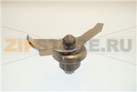 ASS.LAME BICCH.Q Y15