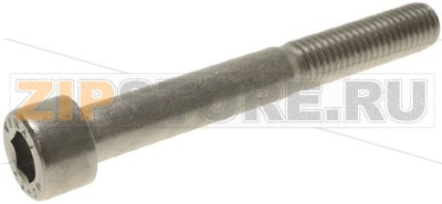 ВИНТ С ЦИЛИНДРИЧЕСКОЙ ГОЛОВКОЙ M10X80 