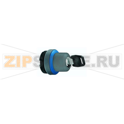 Выключатель с ключом, серый, 1x40°, 2 шт Rafi 1.30.255.001/0100 