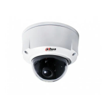 IP-камера Dahua IPC-HDB5302