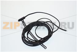 SONDA NTC L3000 SBRIN.BACCHUS 