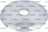 BLADE RASSPE ø 300-57-4-254 MOD.C