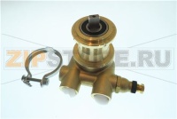 POMPA ROTATIVA NSF 50L/h